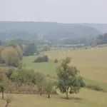 In Couvin With Terrace Aublain