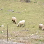 בית נופש In Couvin With Terrace