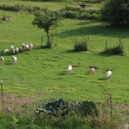 In Couvin With Terrace *