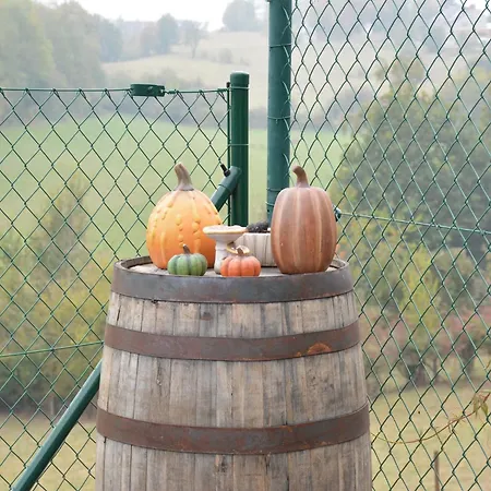 Hébergement de vacances In Couvin With Terrace Aublain