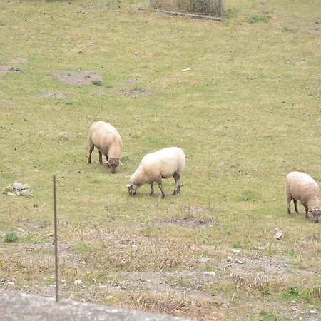 펜션 In Couvin With Terrace