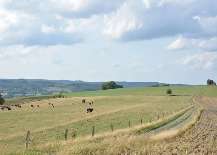Prázdninový dům In Couvin With Terrace Aublain