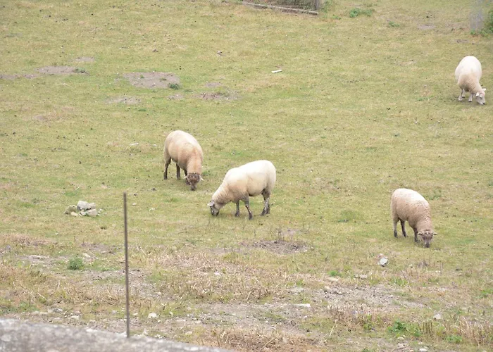 Prázdninový dům In Couvin With Terrace